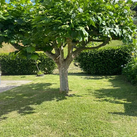 Moradia Rustica Jardim Casa vacanze Caloura