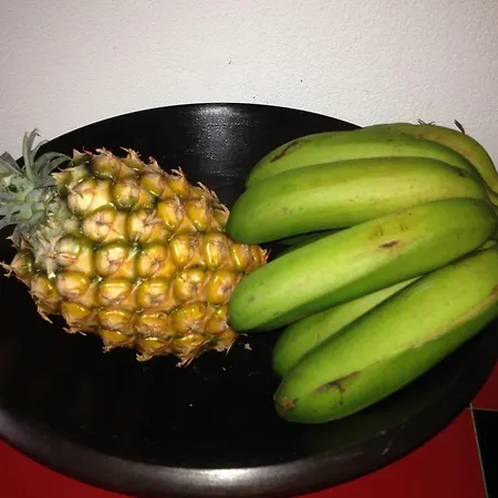 Moradia Rustica Jardim