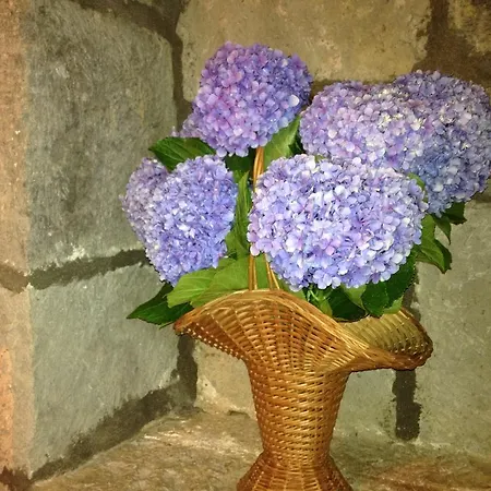 Moradia Rustica * Caloura