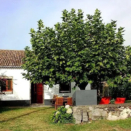 Holiday home Moradia Rustica Caloura