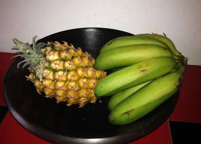 Moradia Rustica Jardim