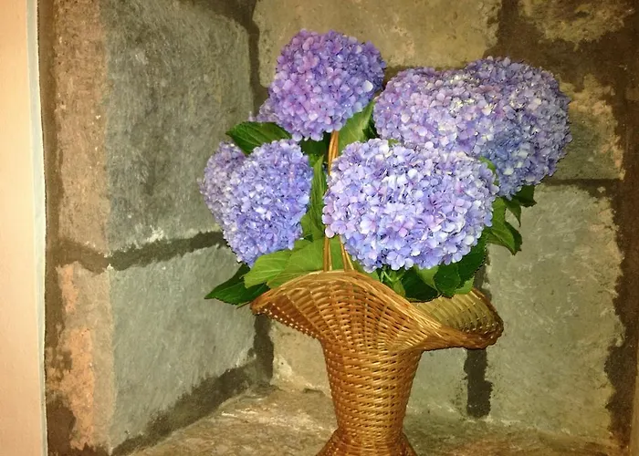 Moradia Rustica Jardim * Caloura